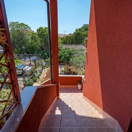 Iva House With Apartment Umag Luaran gambar